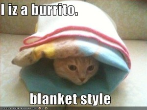 \"cat-burrito\"